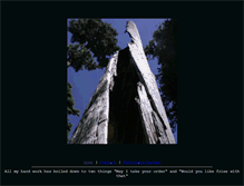 Tablet Screenshot of forums.shamrockman.net